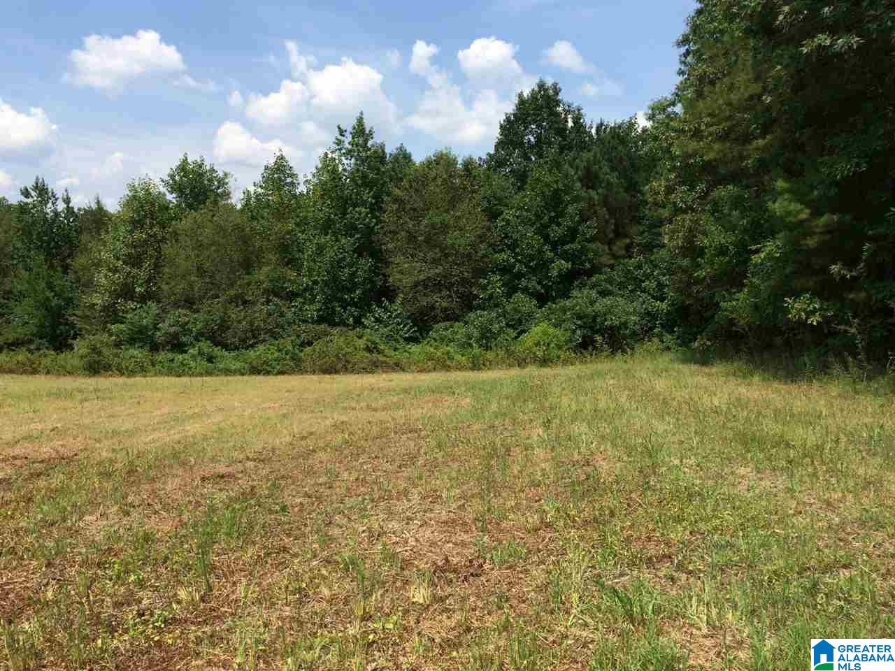 Spunky Hollow Road, Unit 18 7 Oneonta, AL 35121 - Photo 21 of 46