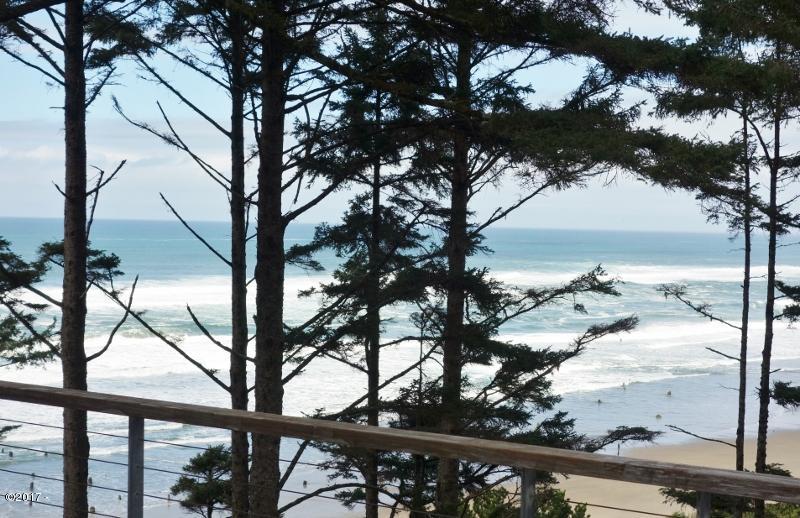 50007 South South Beach Point Road Neskowin, OR 97149 - Photo 17 of 31 Walker 022 (800x518)