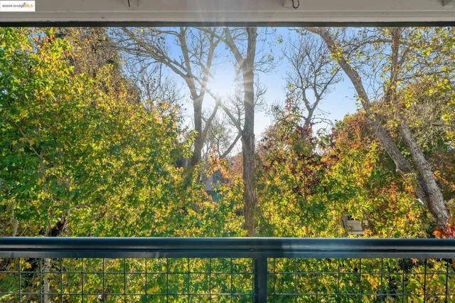 a view of house with a big yard and large trees