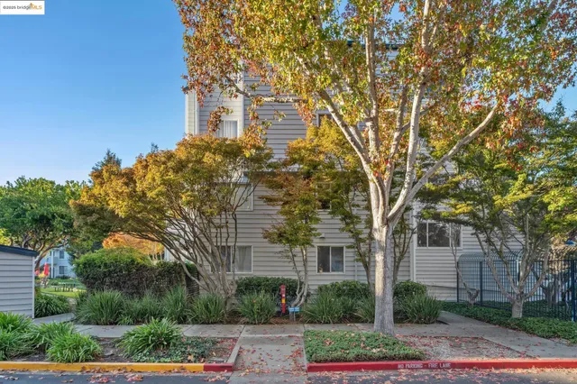 a view of swimming pool with palm trees