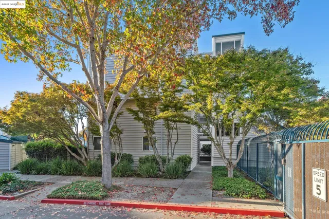 a view of a park with large trees