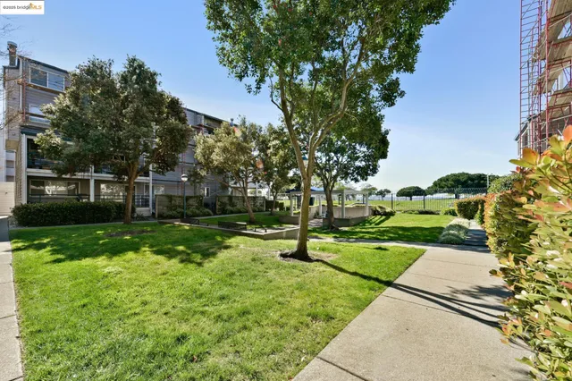 a view of a garden with a pathway