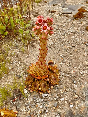 $675,000 | 359 Lower Round Pond Road, Bristol, ME 04539