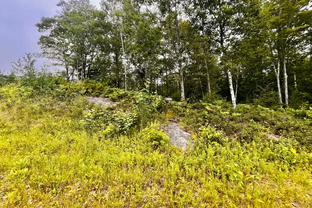 $675,000 | 359 Lower Round Pond Road, Bristol, ME 04539