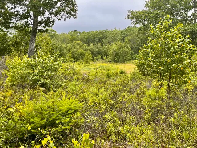 $675,000 | 359 Lower Round Pond Road, Bristol, ME 04539