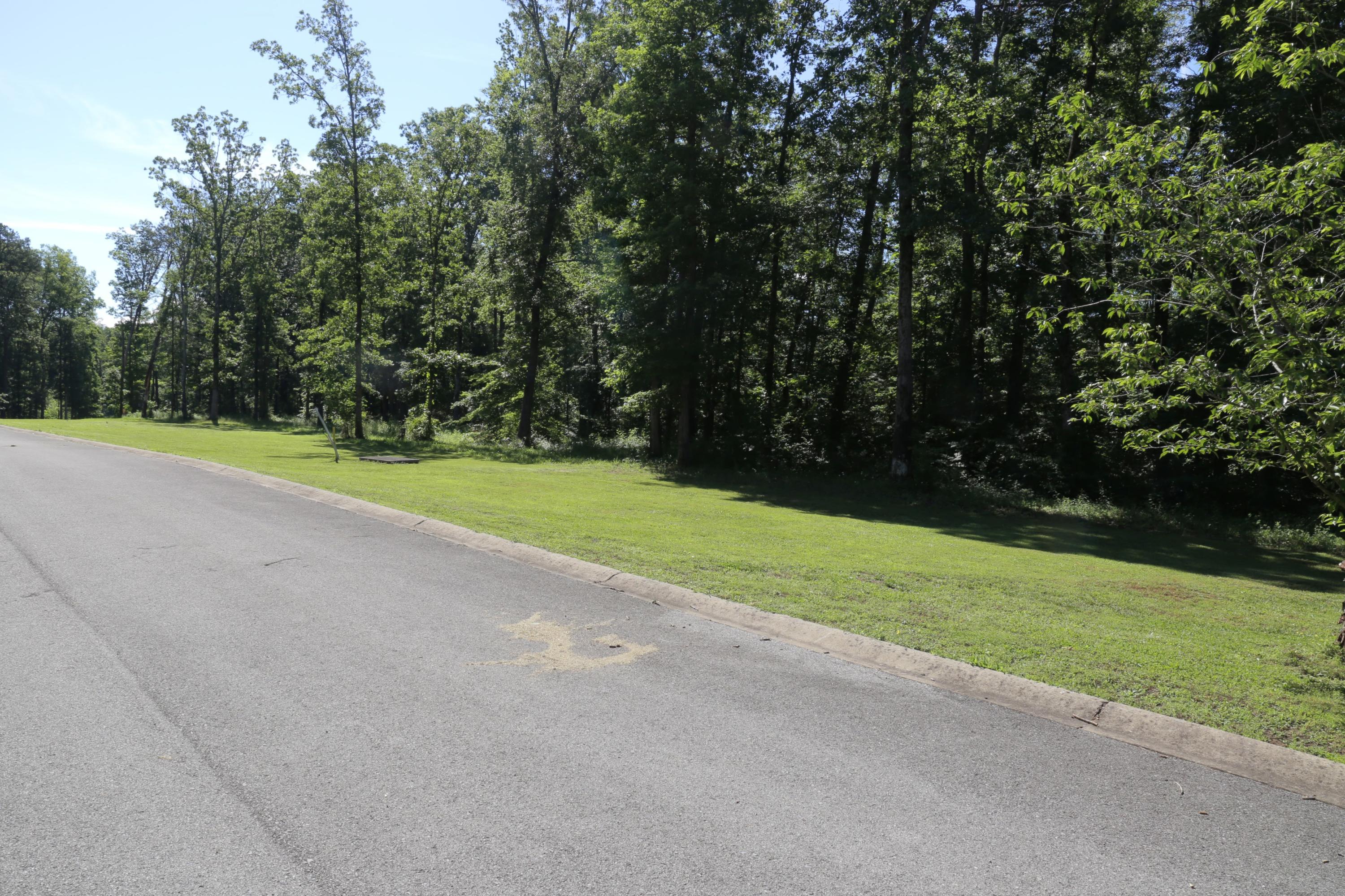 1 Hidden Ranch Way Seymour, TN 37865 - Photo 2 of 19 IMG_1561