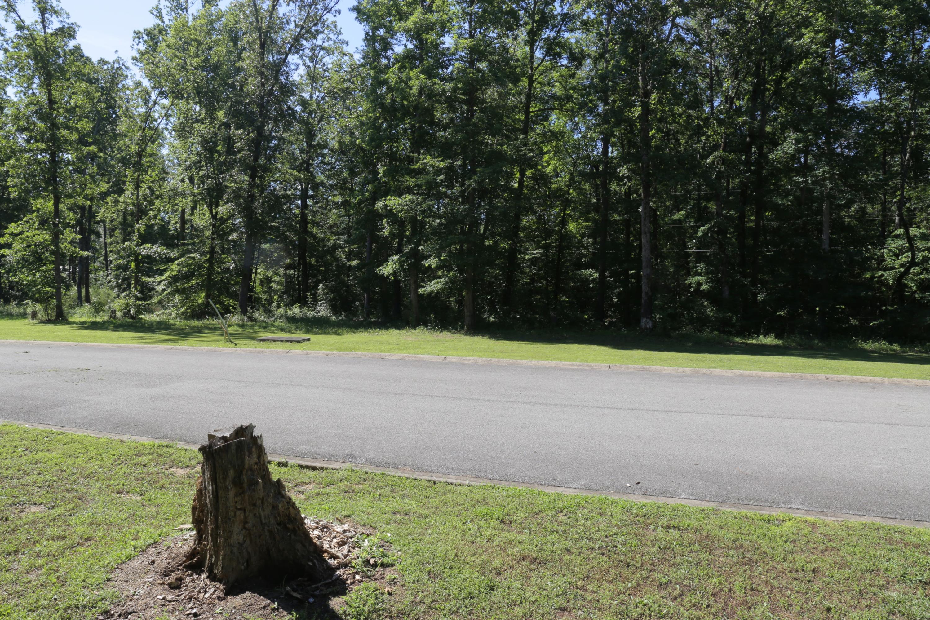 1 Hidden Ranch Way Seymour, TN 37865 - Photo 11 of 19 IMG_1562