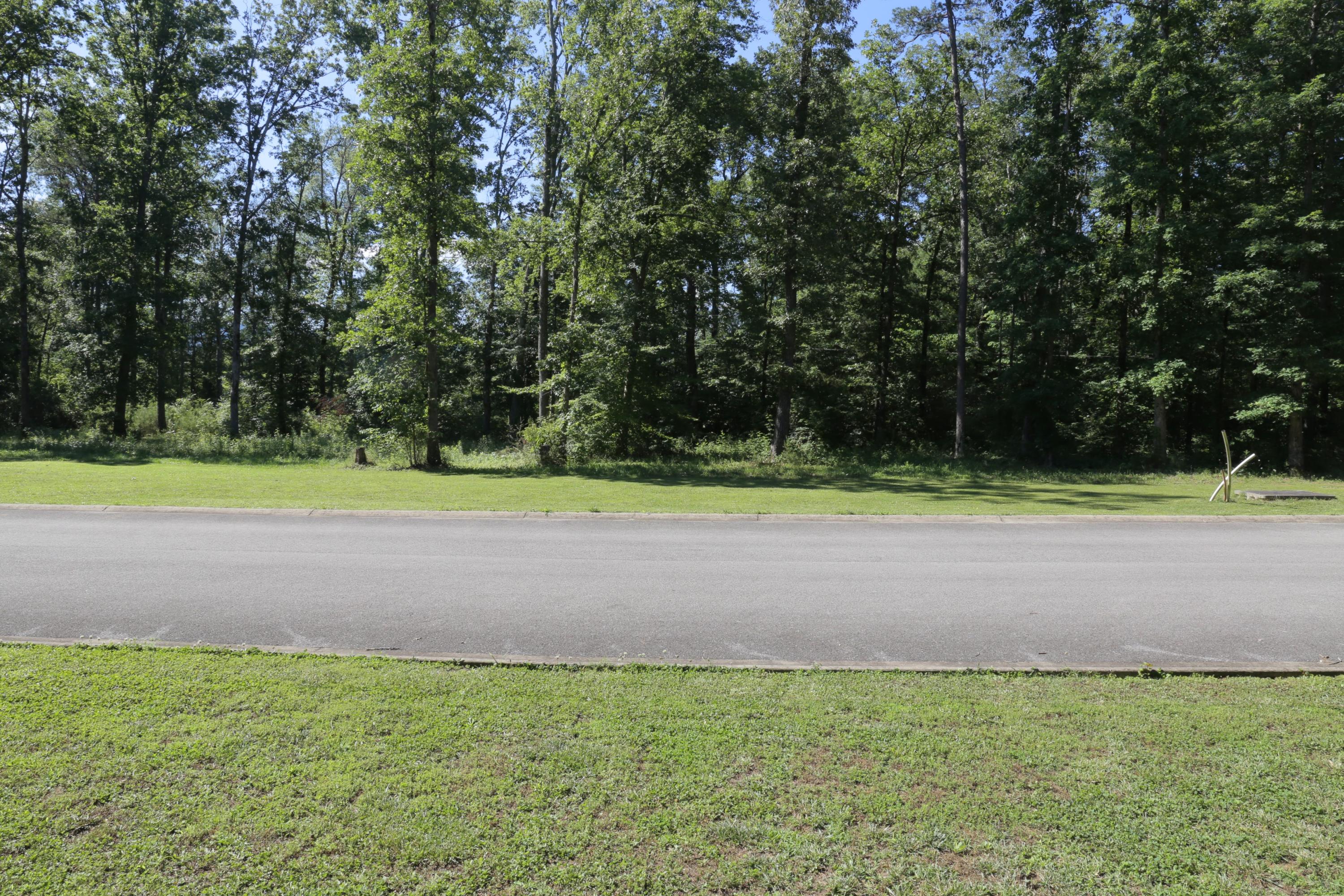 1 Hidden Ranch Way Seymour, TN 37865 - Photo 13 of 19 IMG_1564