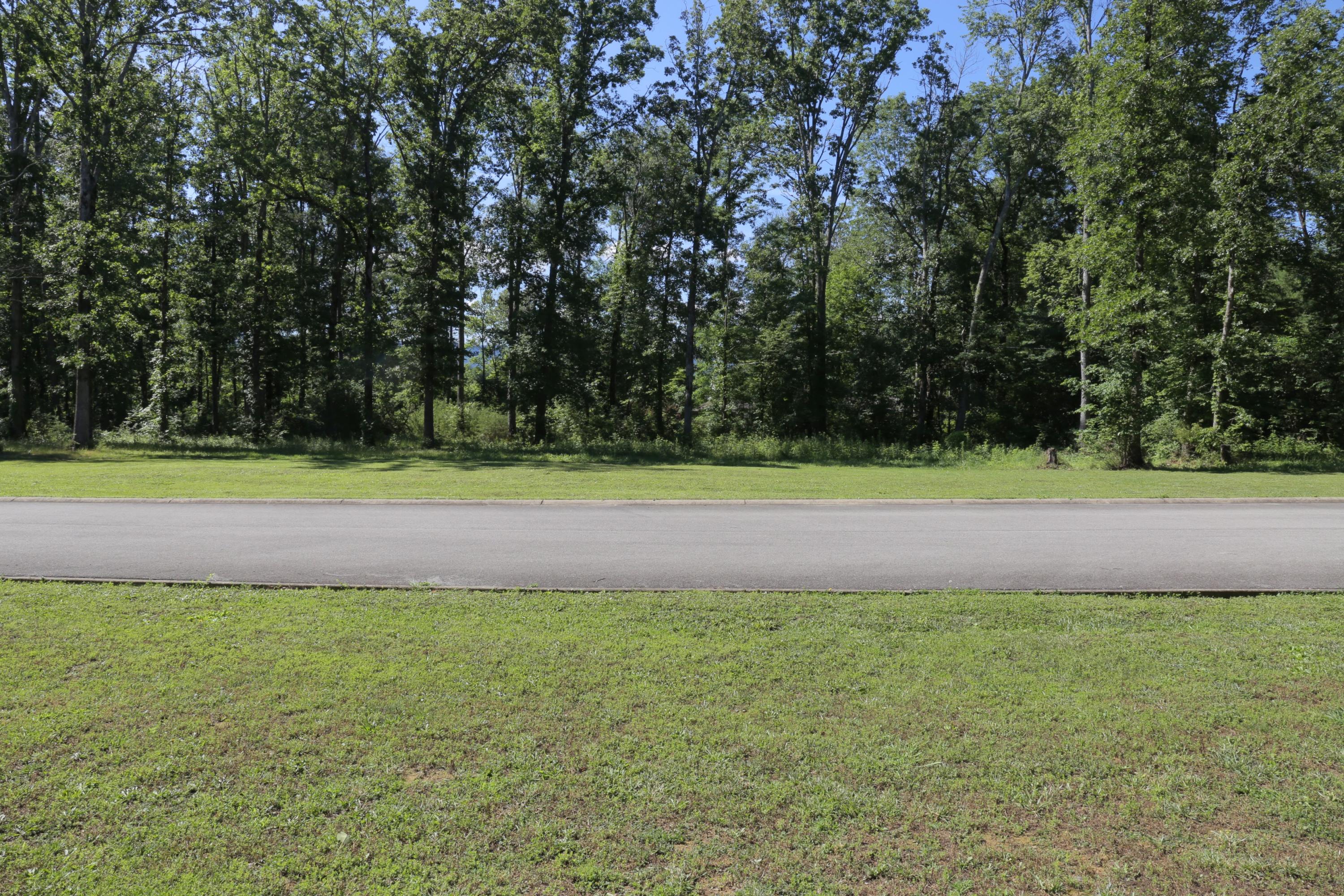 1 Hidden Ranch Way Seymour, TN 37865 - Photo 15 of 19 IMG_1567