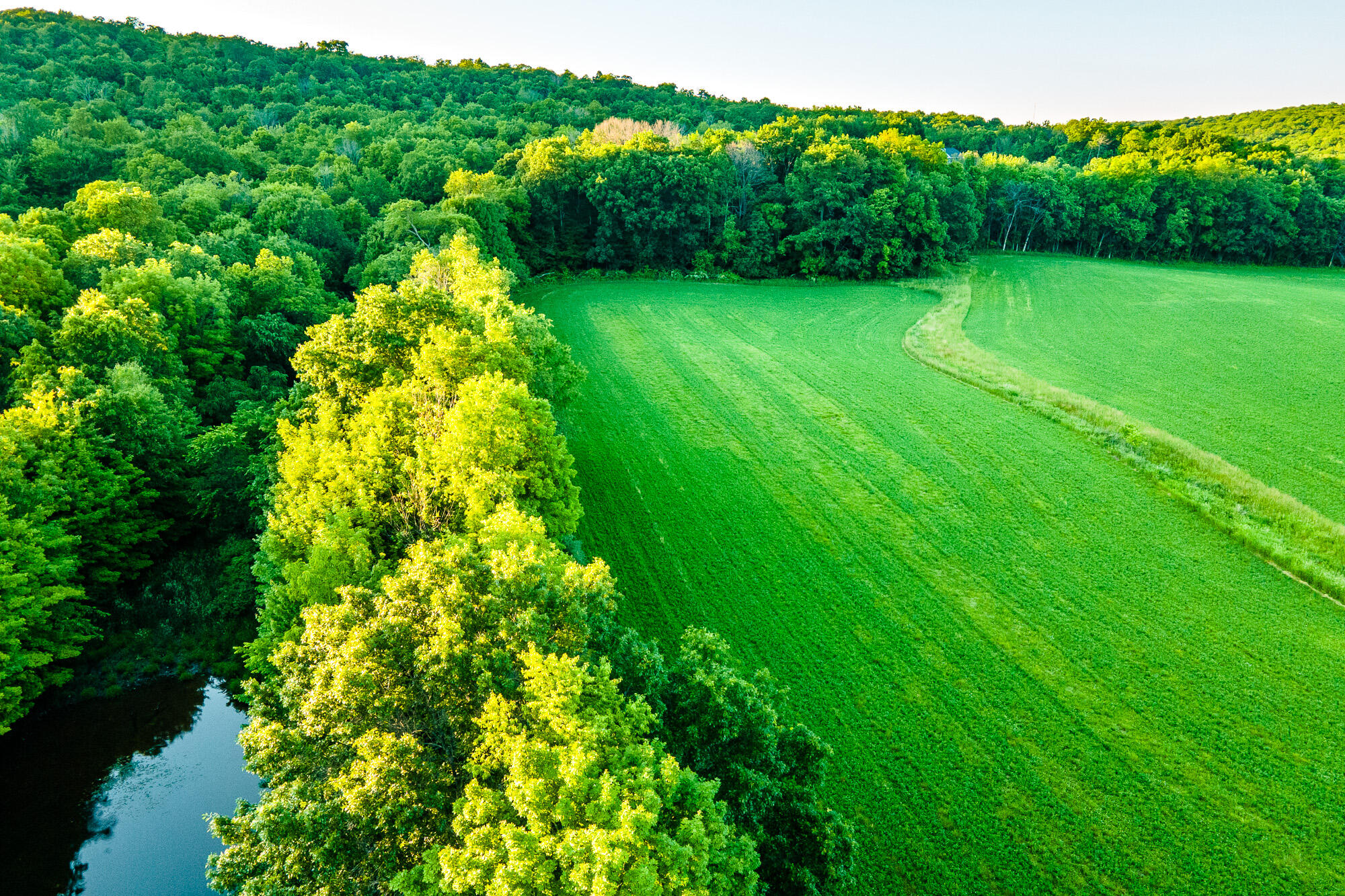 Lt0 Denzer Road North Freedom, WI 53951 - Photo 64 of 68 Sauk-County-WI-54-Acres-Land-For-Sale-66