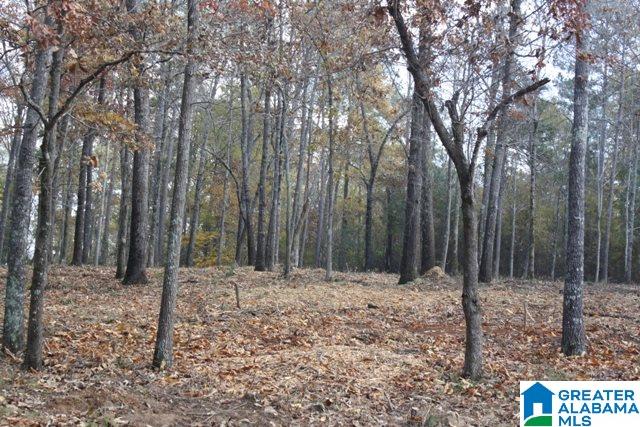 Peyton Place, Unit 3 Weaver, AL 36277 - Photo 30 of 40