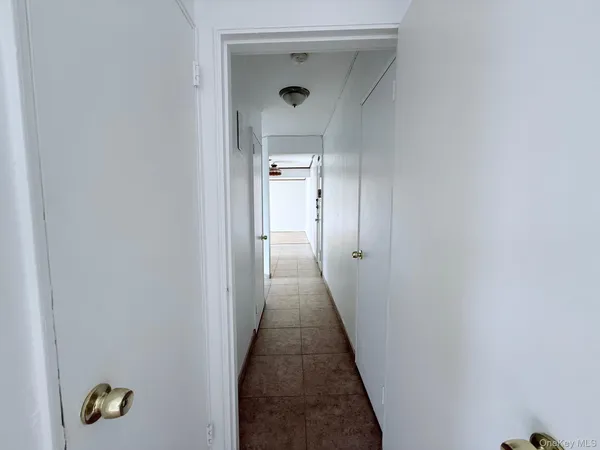 a view of a hallway with wooden floor and a potted plant
