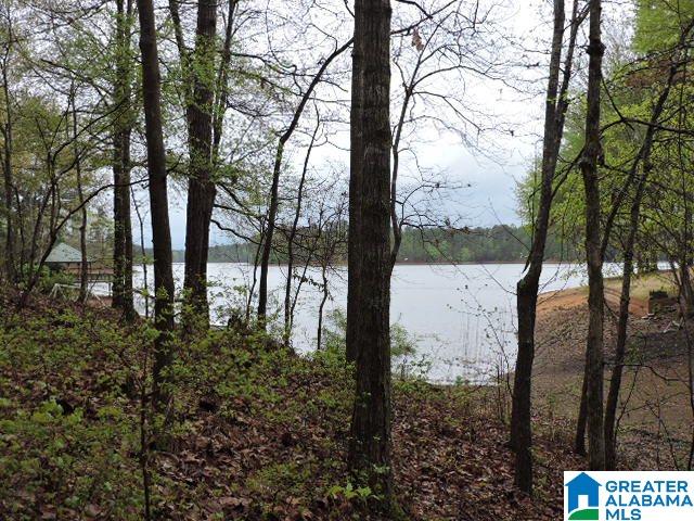 235 County Road, Unit 4 Wedowee, AL 36278 - Photo 5 of 6