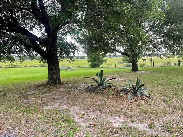 a view of a yard with a tree