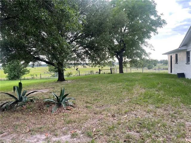 a view of a yard with large trees