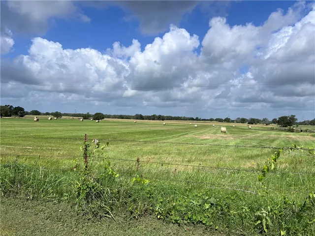 a view of a field with an ocean