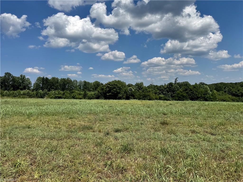Lot #8 Sandy Springs Road Mocksville, NC 27028 - Photo 1 of 5