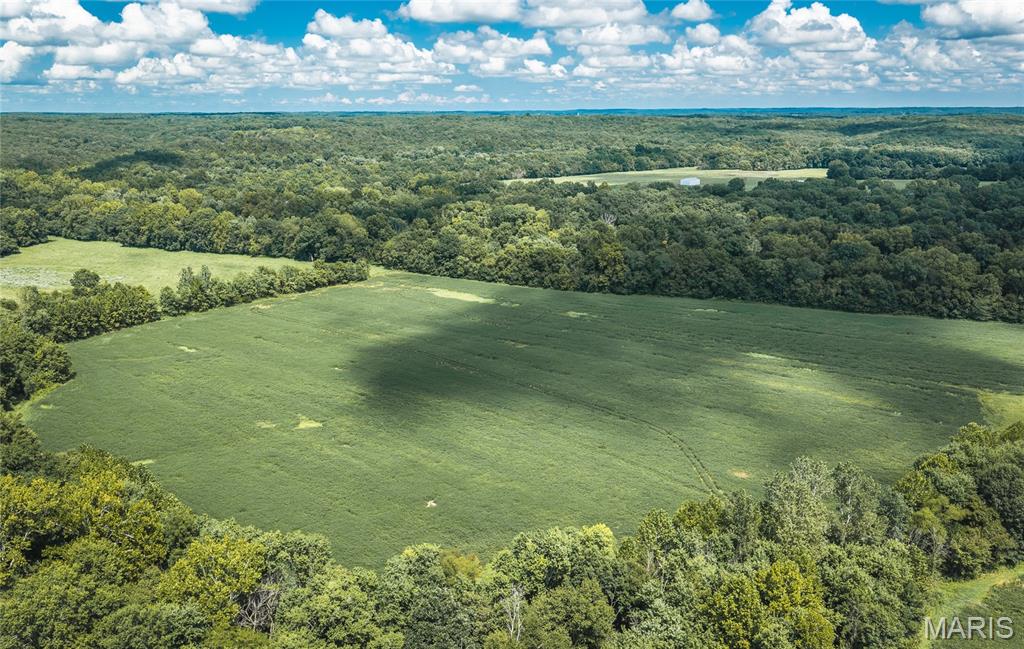 5300 McCallister Road Gerald, MO 63037 - Photo 61 of 77 Gallery Image 61