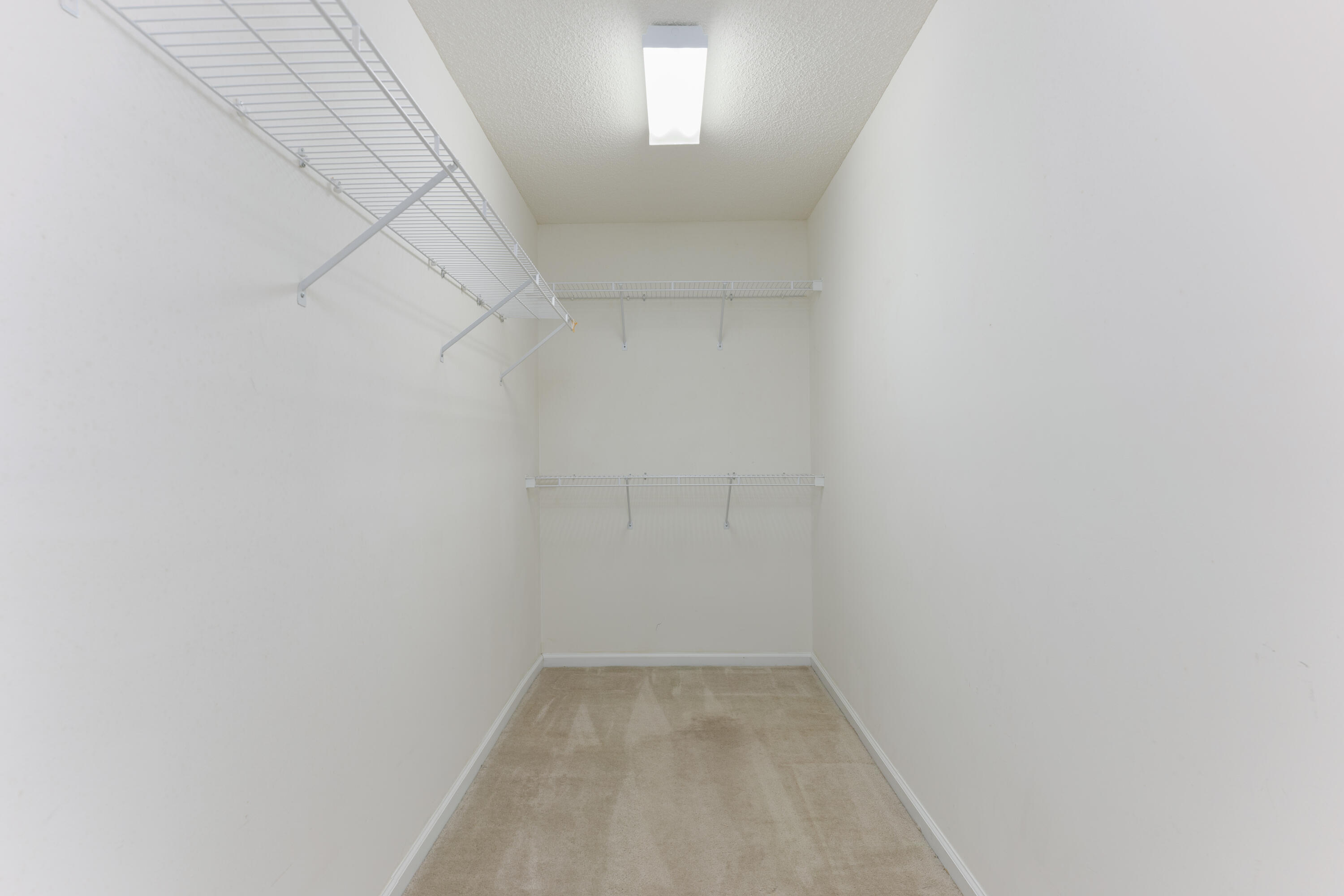 582 Carters Grove Road Charleston, SC 29414 - Photo 21 of 34 Primary Walk In Closet