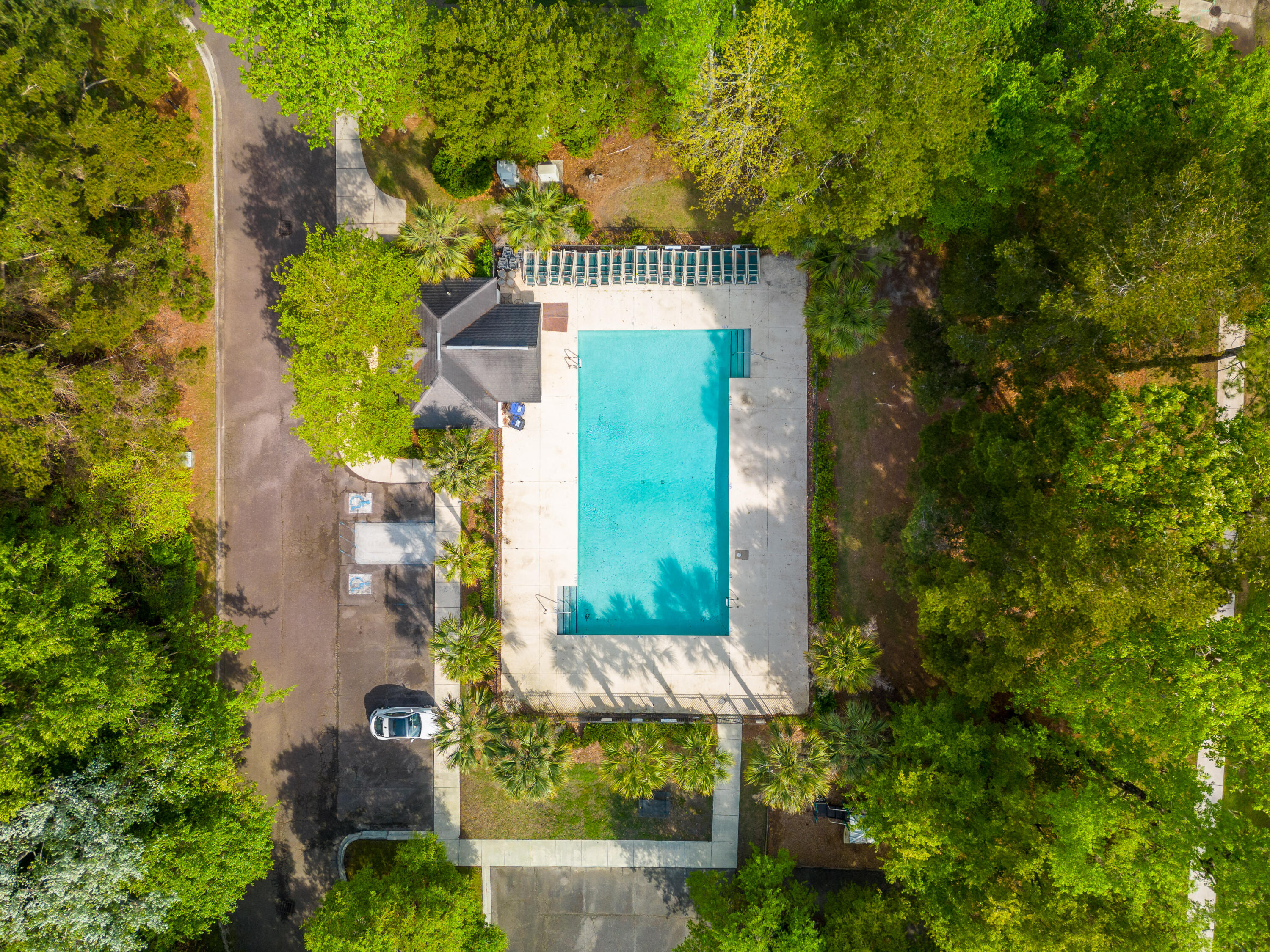 582 Carters Grove Road Charleston, SC 29414 - Photo 32 of 34 Community Pool