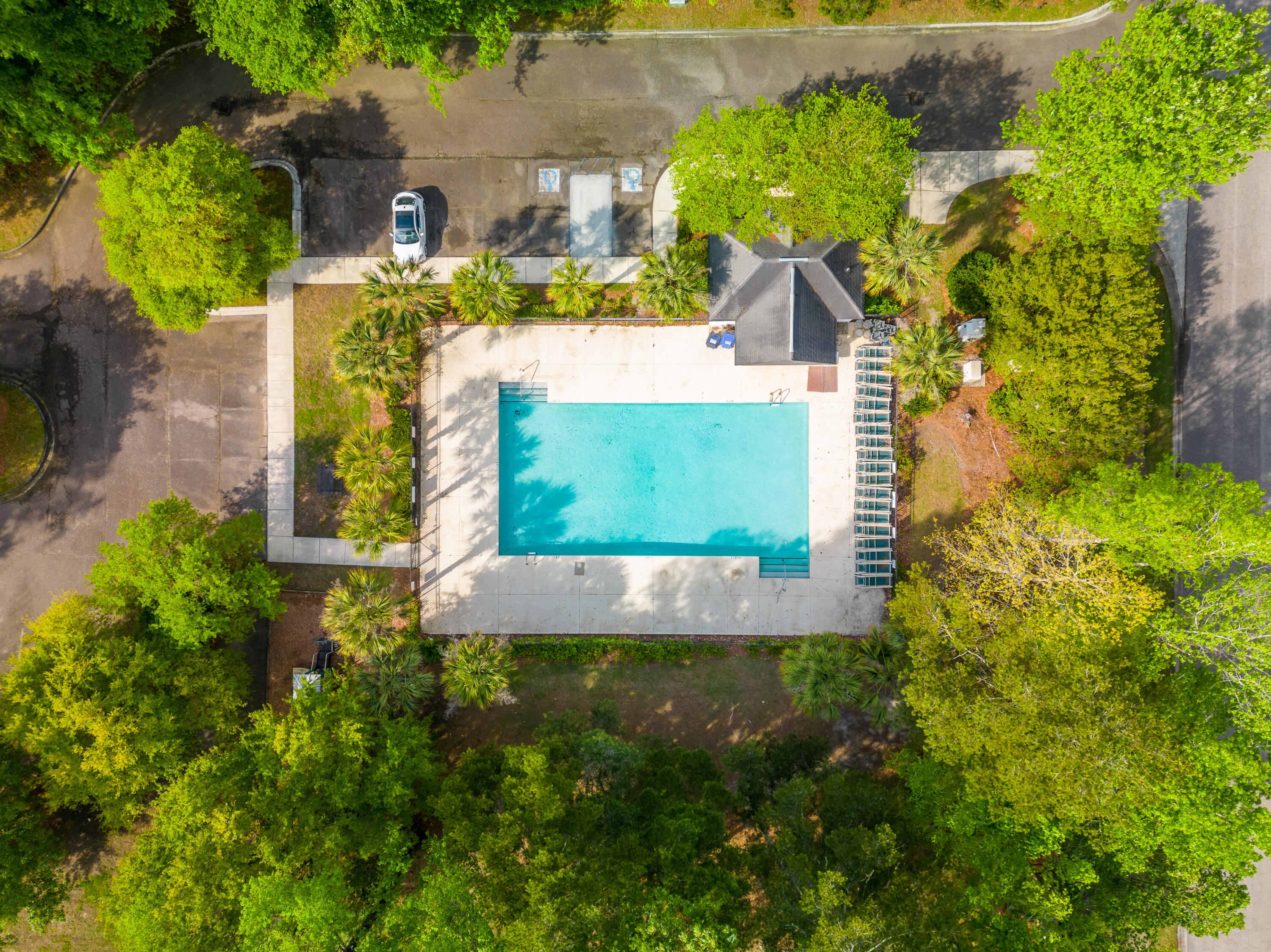 582 Carters Grove Road Charleston, SC 29414 - Photo 7 of 34 Community Pool