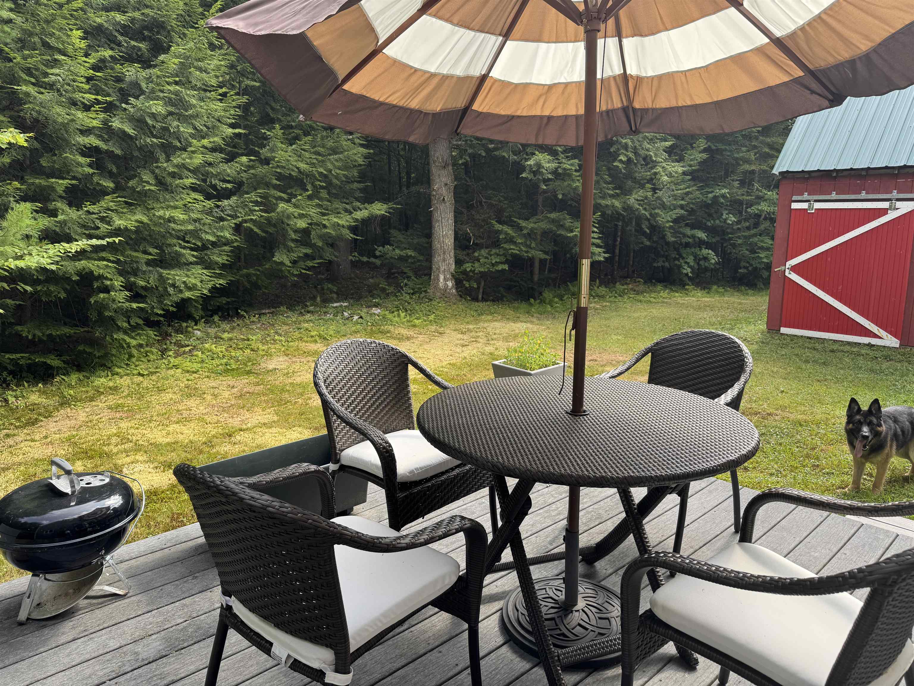 220 Foggs Ridge Road Ossipee, NH 03864 - Photo 22 of 54