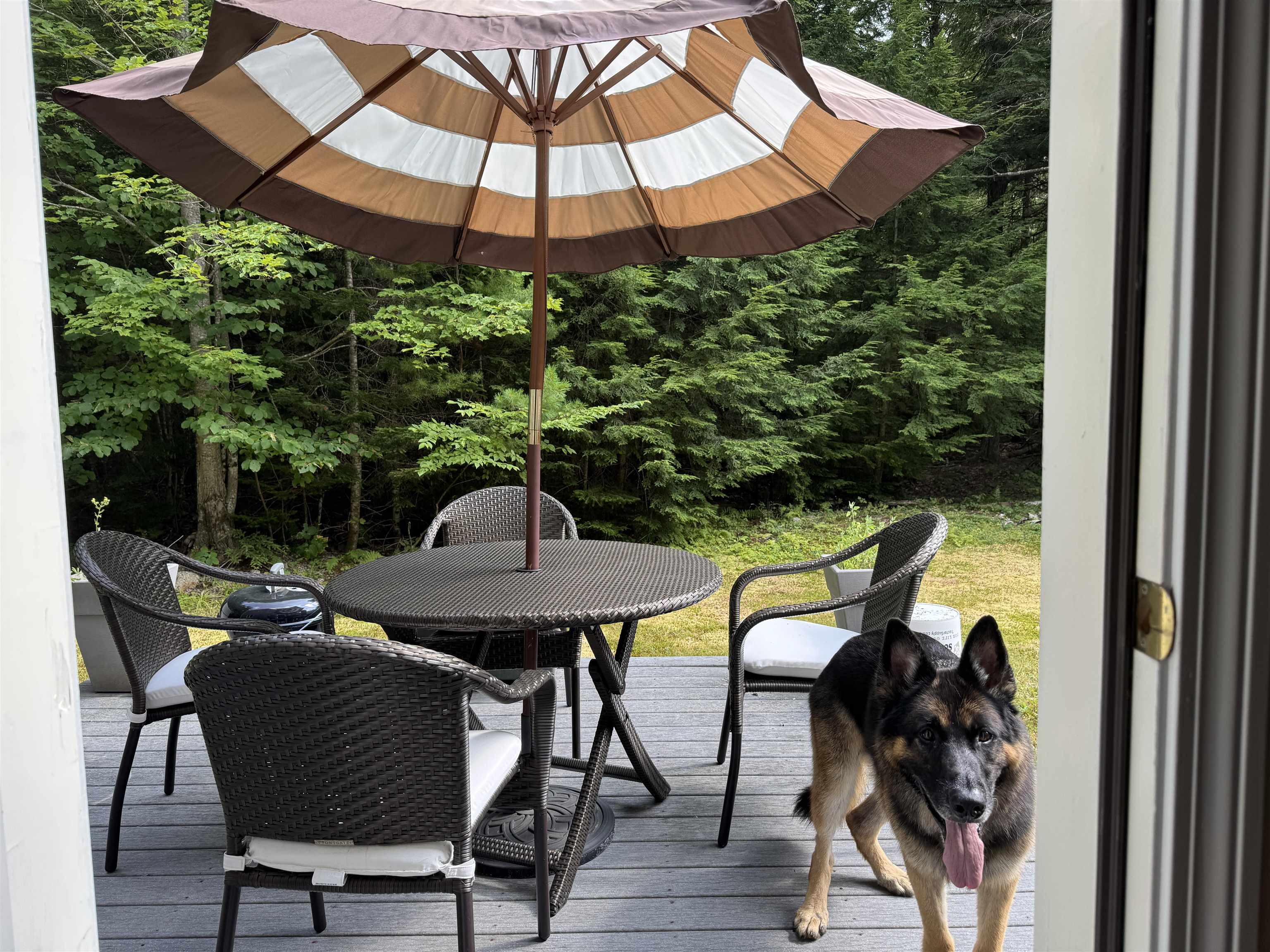 220 Foggs Ridge Road Ossipee, NH 03864 - Photo 23 of 54