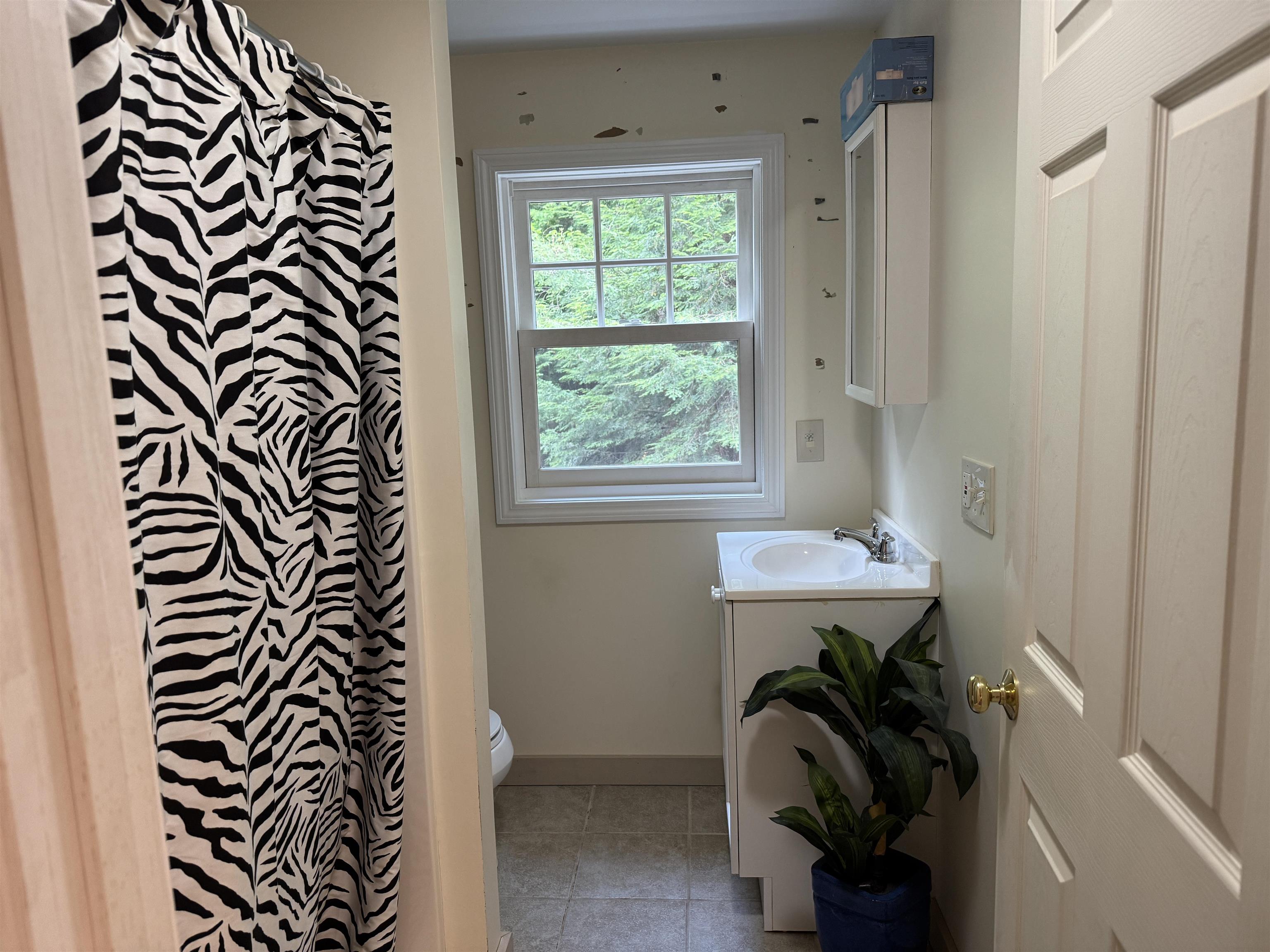 220 Foggs Ridge Road Ossipee, NH 03864 - Photo 26 of 54