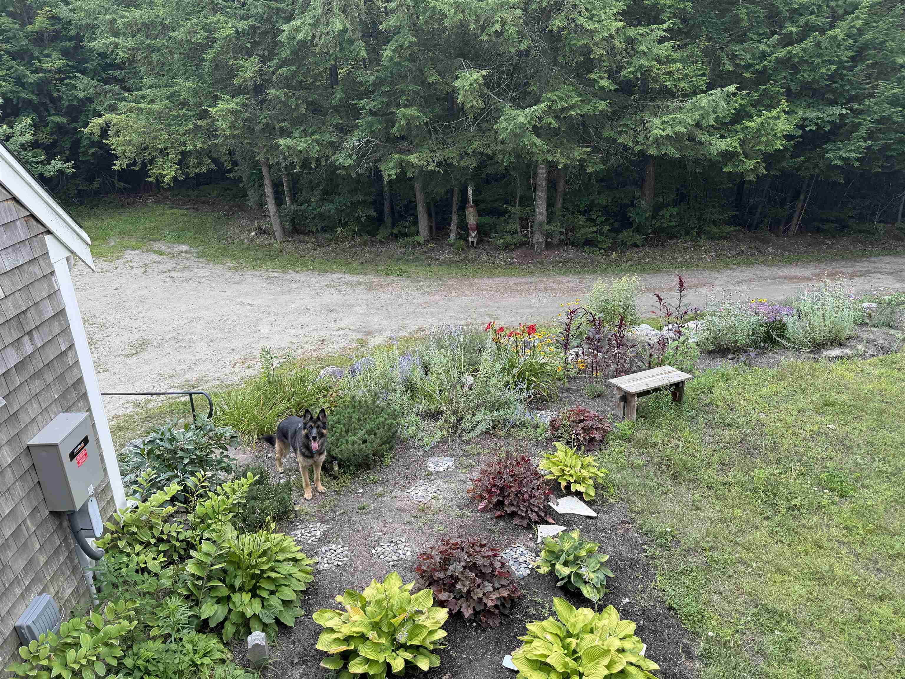 220 Foggs Ridge Road Ossipee, NH 03864 - Photo 48 of 54