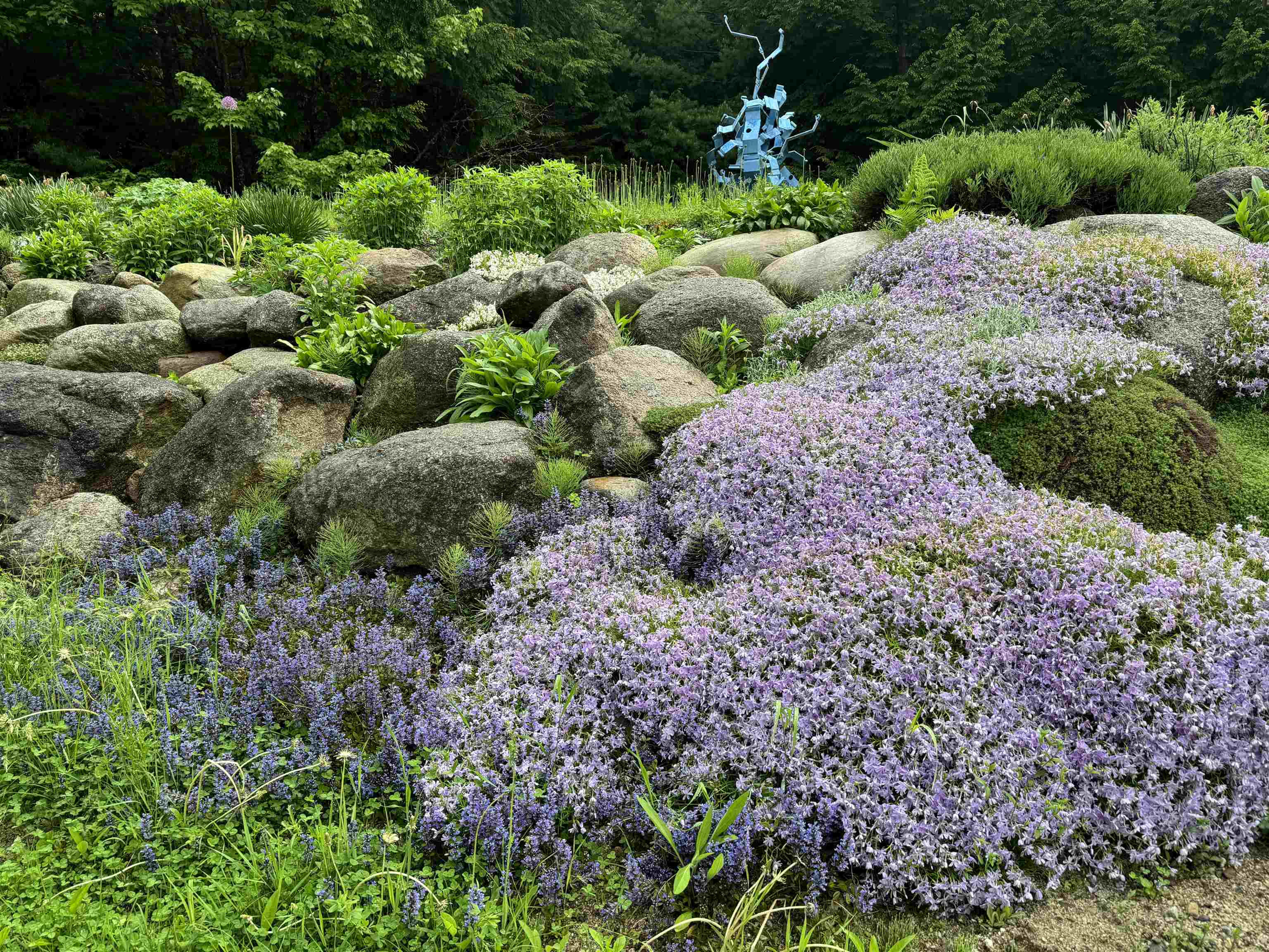 220 Foggs Ridge Road Ossipee, NH 03864 - Photo 50 of 54