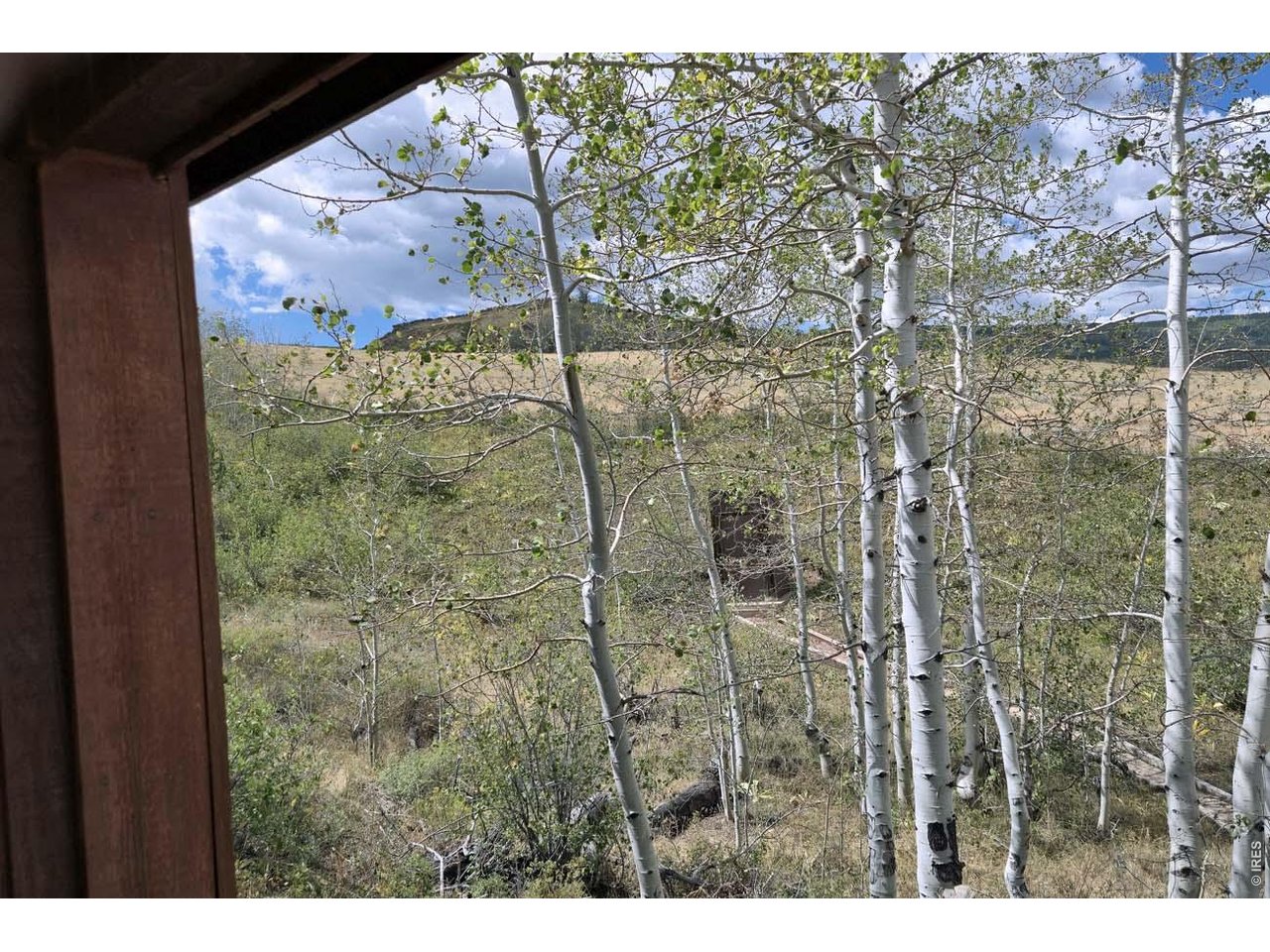 1245 Plano Road Red Feather Lakes, CO 80545 - Photo 12 of 15 Gallery Image 12