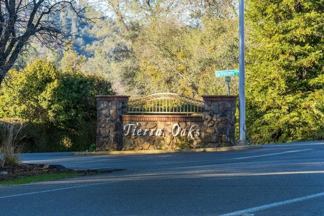 a street view with large trees