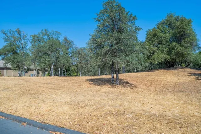 a view of a yard with trees