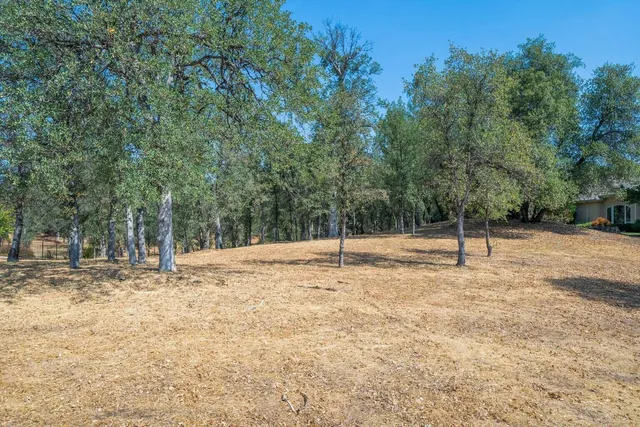 a backyard of a house with lots of green space