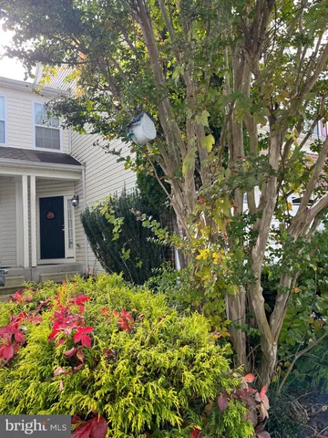 a flower plants in front of flowers
