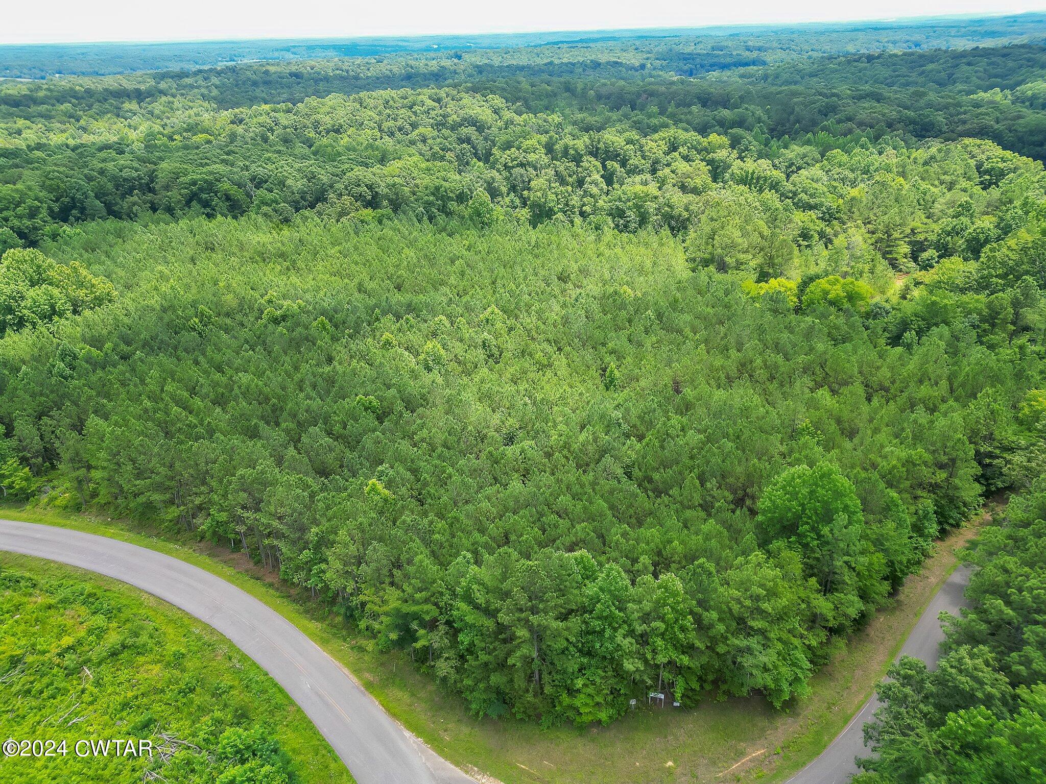 0 Parsons Road Wildersville, TN 38388 - Photo 1 of 14 3-web-or-mls-Completed-3
