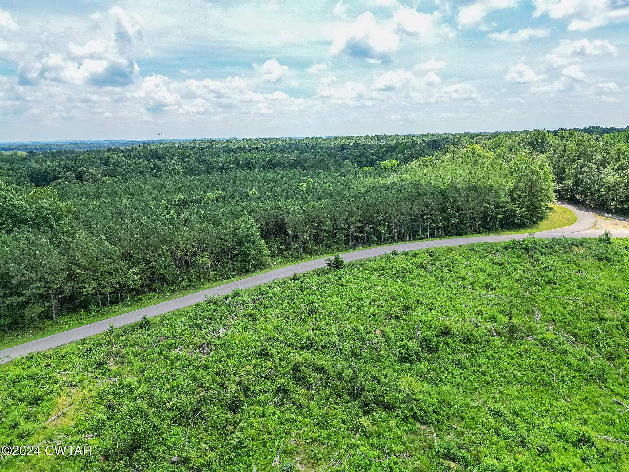 0 Parsons Road Wildersville, TN 38388 - Photo 11 of 14 9-web-or-mls-Completed-9