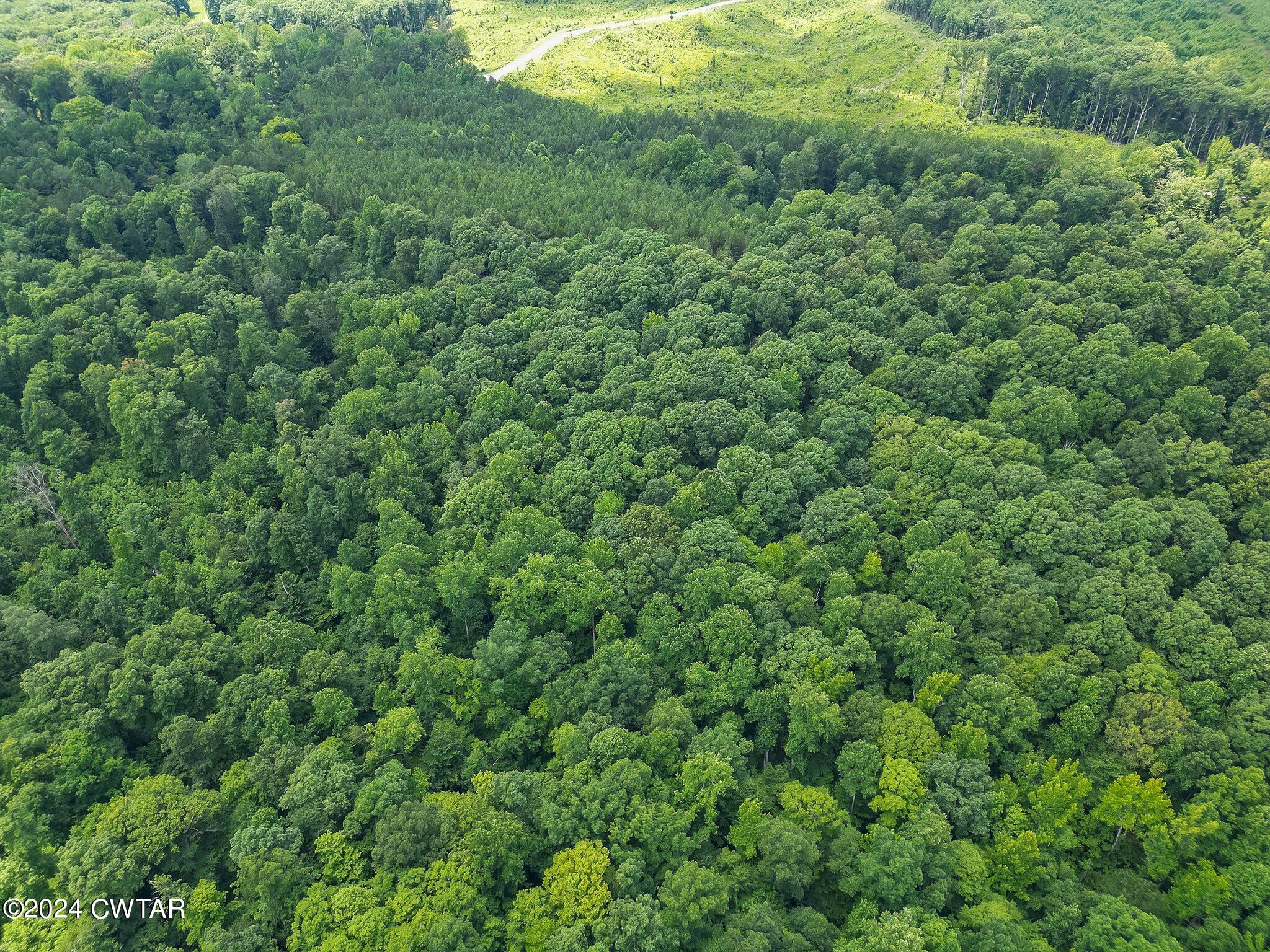 0 Parsons Road Wildersville, TN 38388 - Photo 13 of 14 6-web-or-mls-Completed-6