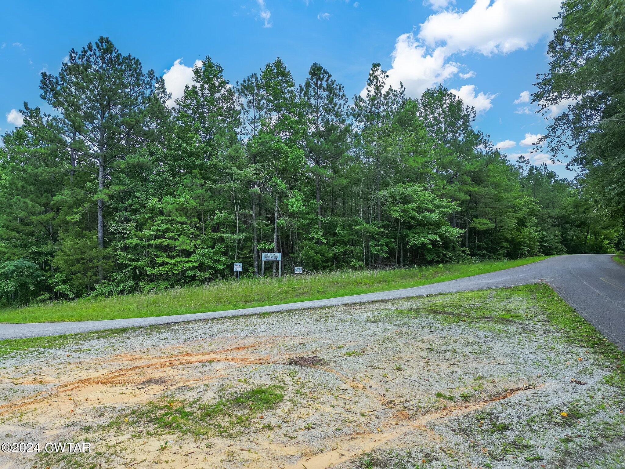 0 Parsons Road Wildersville, TN 38388 - Photo 3 of 14 2-web-or-mls-Completed-2