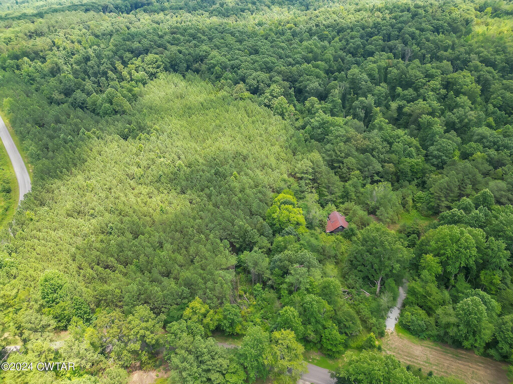 0 Parsons Road Wildersville, TN 38388 - Photo 6 of 14 4-web-or-mls-Completed-4