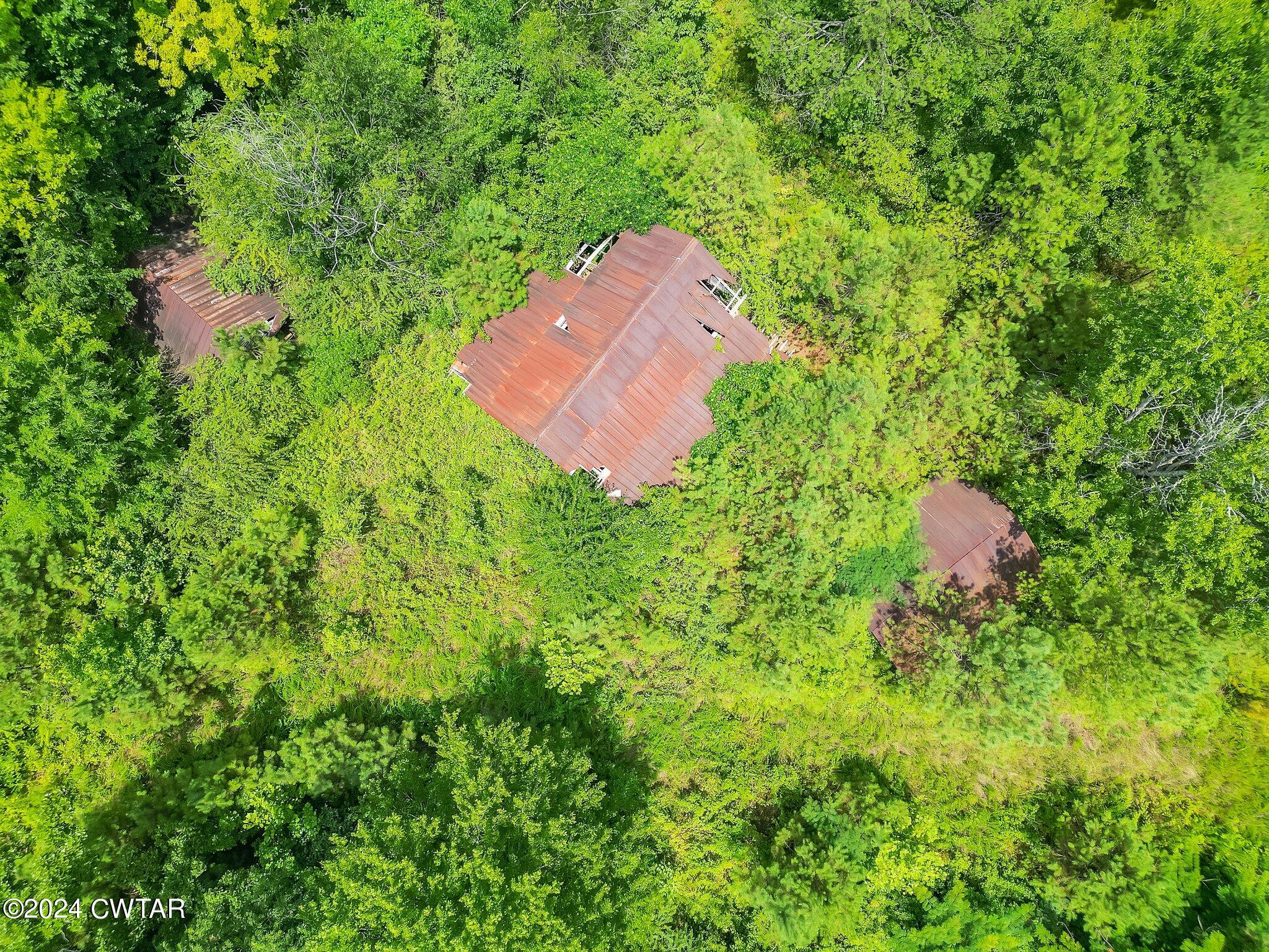 0 Parsons Road Wildersville, TN 38388 - Photo 7 of 14 11-web-or-mls-Completed-11