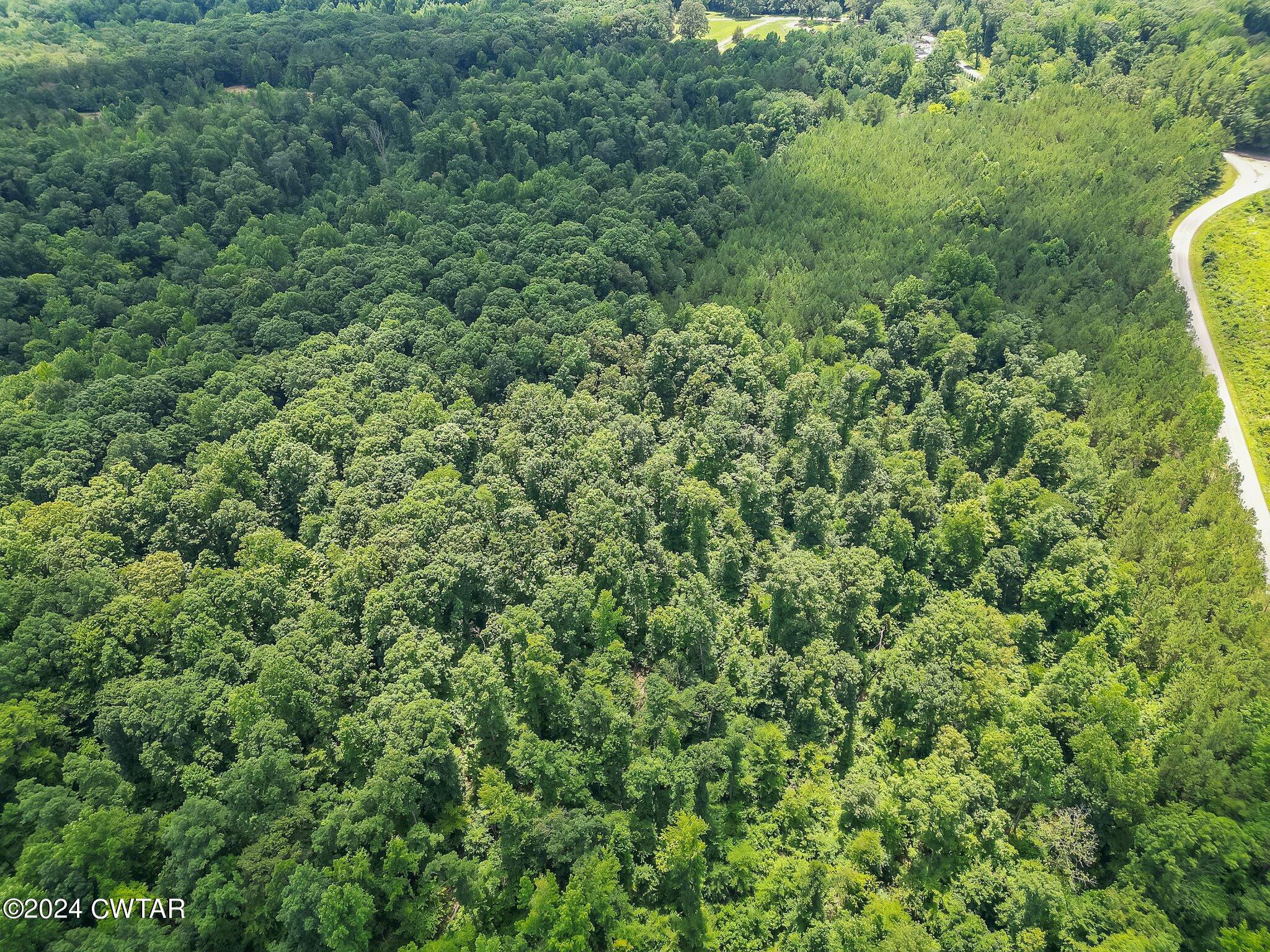 0 Parsons Road Wildersville, TN 38388 - Photo 10 of 14 7-web-or-mls-Completed-7
