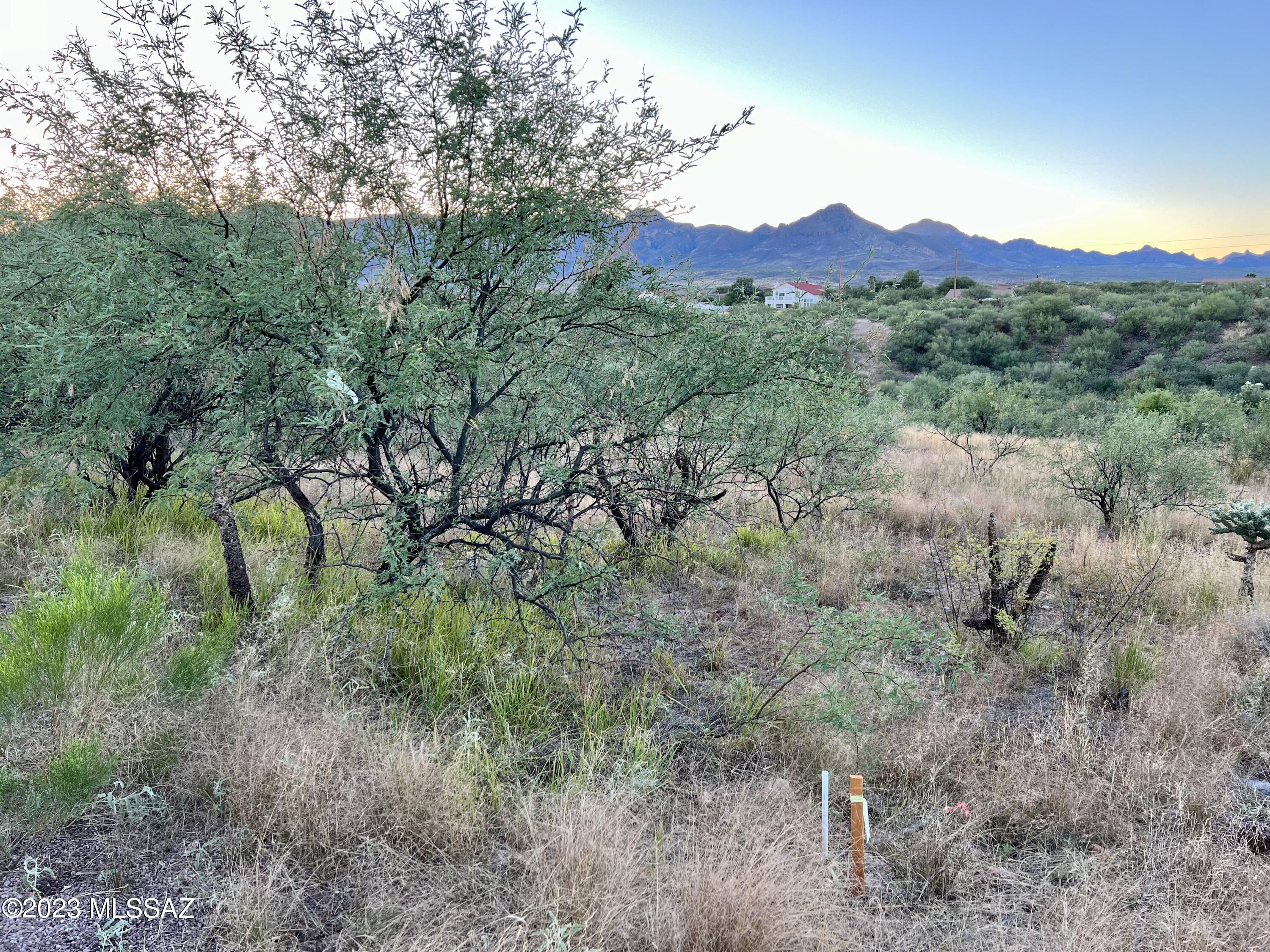 1197 Circulo Golfo, Unit 65 Rio Rico, AZ 85648 - Photo 5 of 16