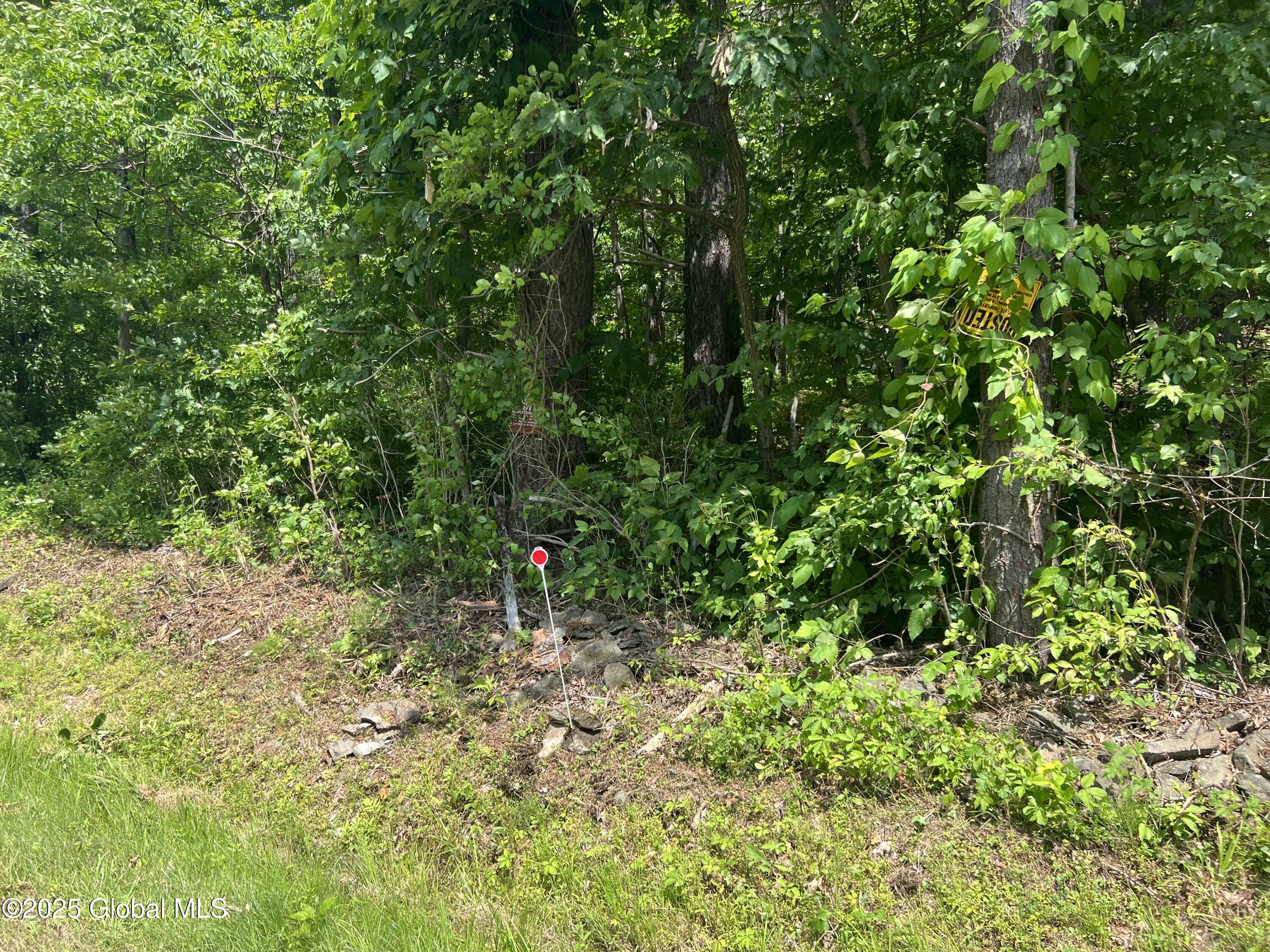 L20.1 Vosenkill Road Catskill, NY 12414 - Photo 2 of 4 IMG_5631
