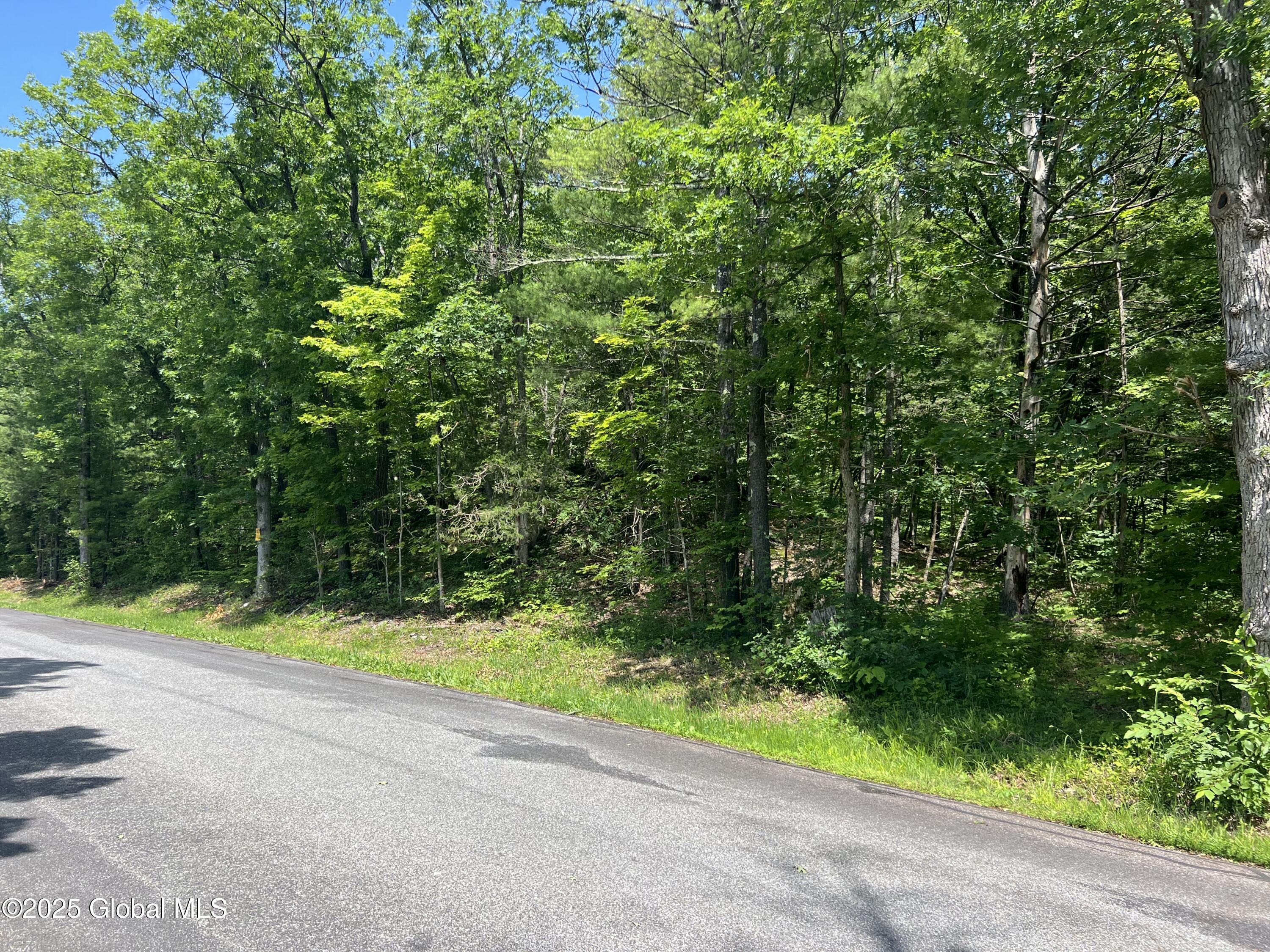 L20.1 Vosenkill Road Catskill, NY 12414 - Photo 3 of 4 IMG_5629
