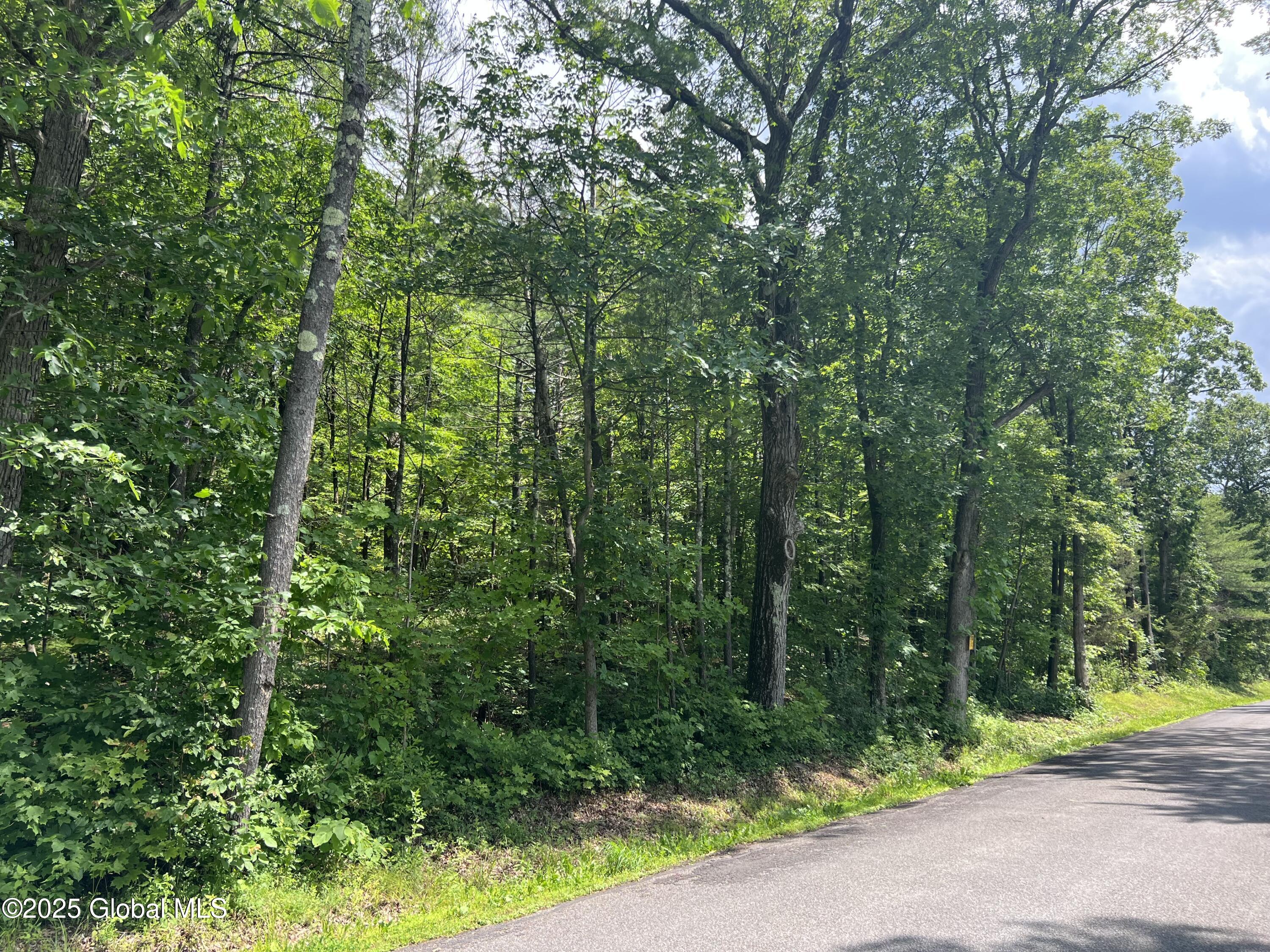 L20.1 Vosenkill Road Catskill, NY 12414 - Photo 4 of 4 IMG_5630