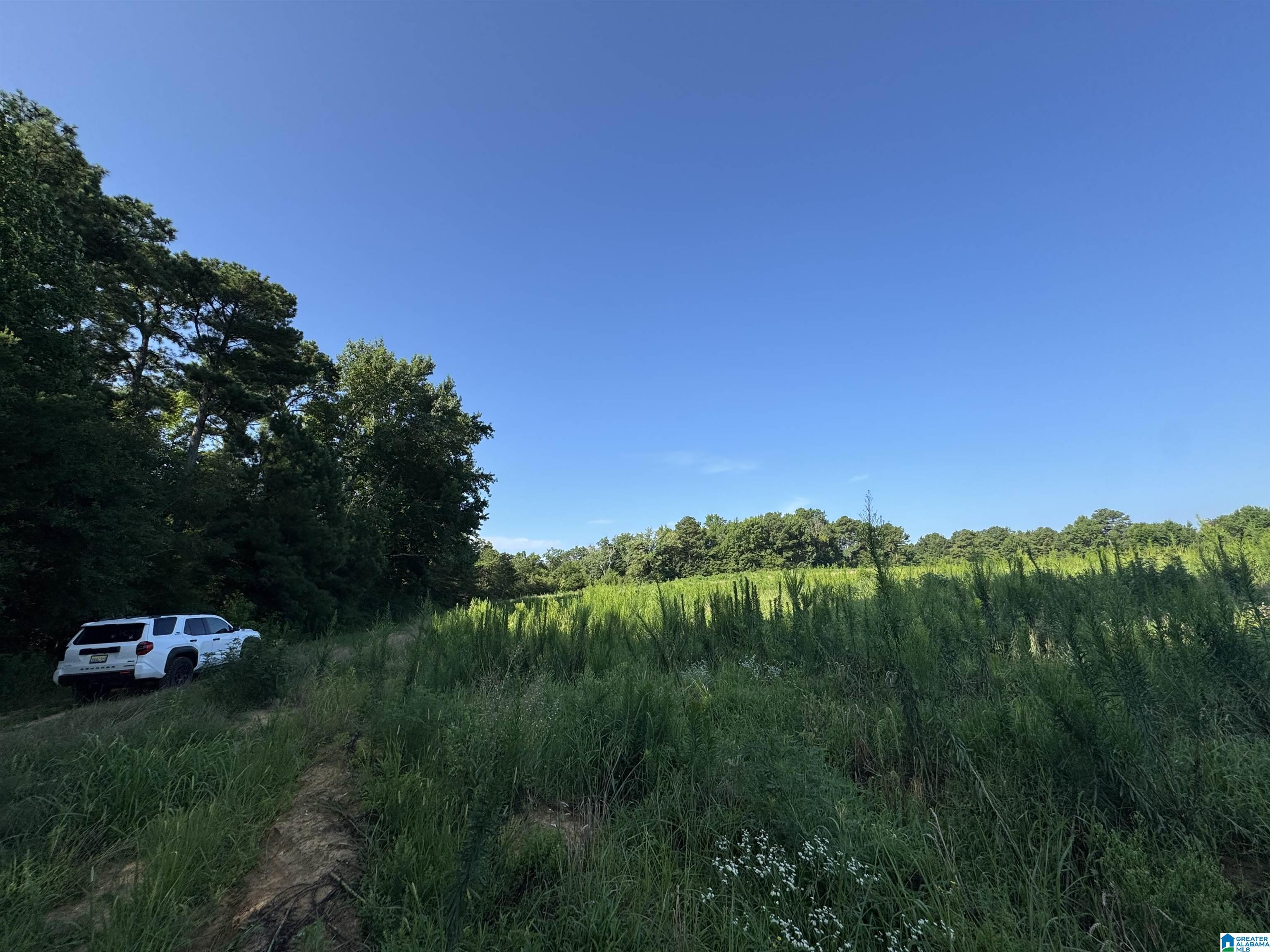 0 County Highway 27, Unit 47 Springville, AL 35146 - Photo 30 of 53
