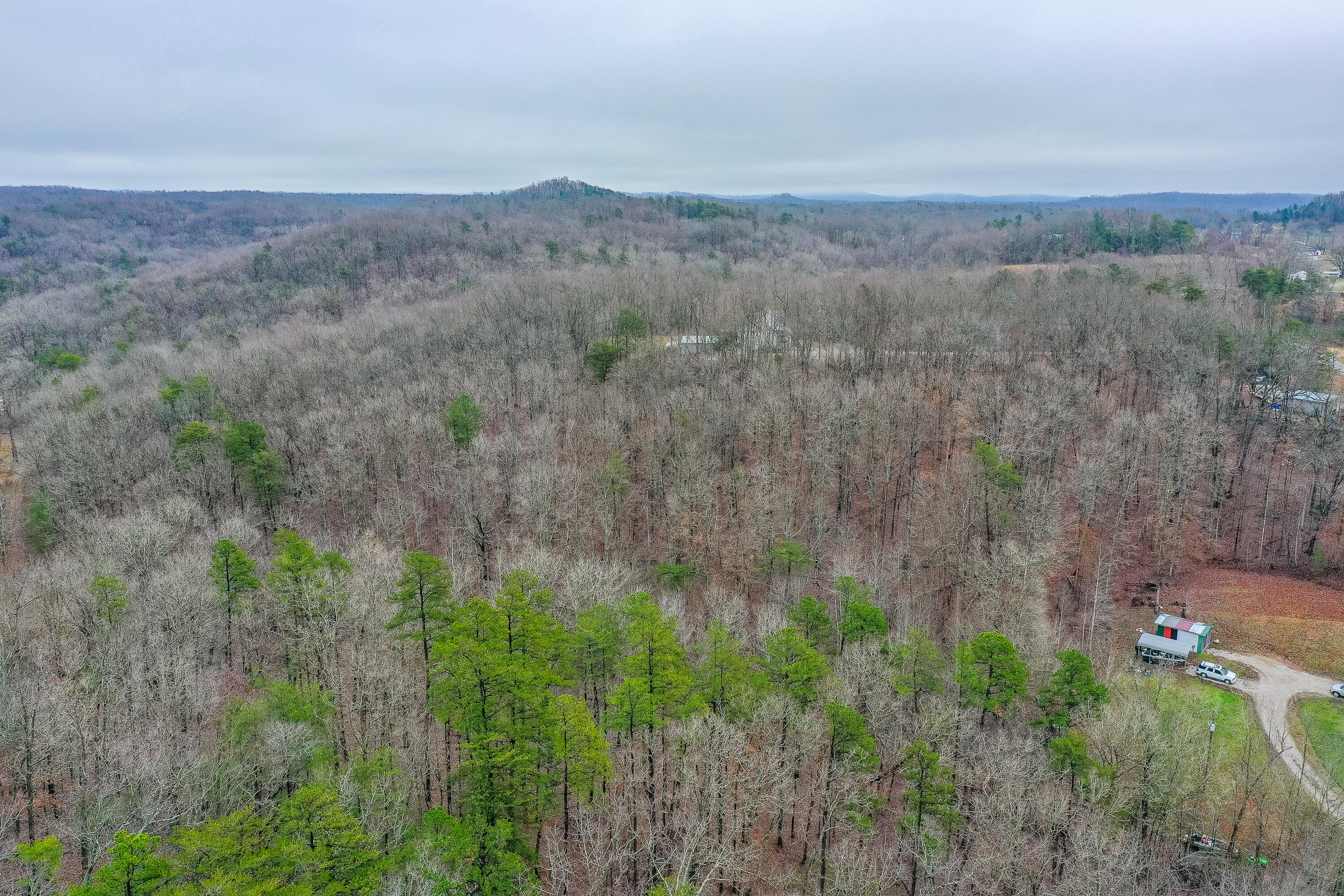 423 Gabbard Road Berea, KY 40403 - Photo 41 of 49 2-3