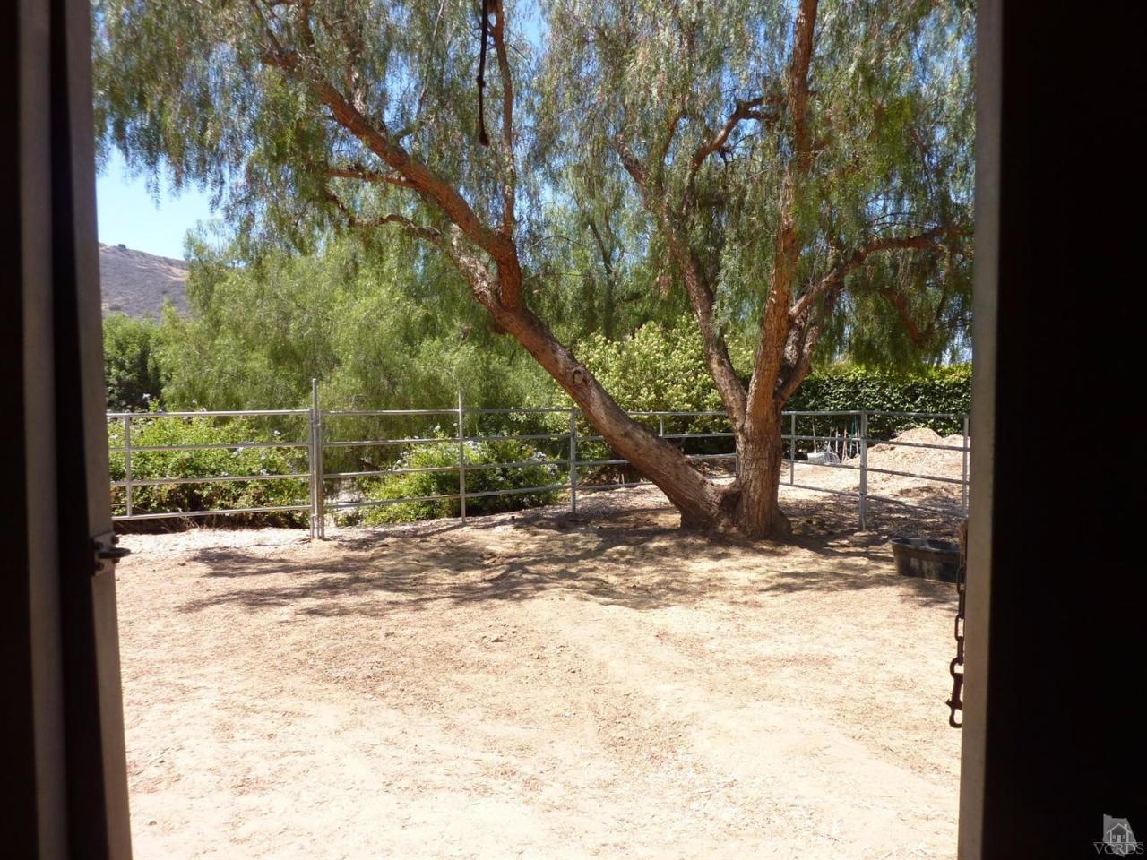 192 Wrangler Road Simi Valley, CA 93065 - Photo 26 of 40 a view of a yard with a tree