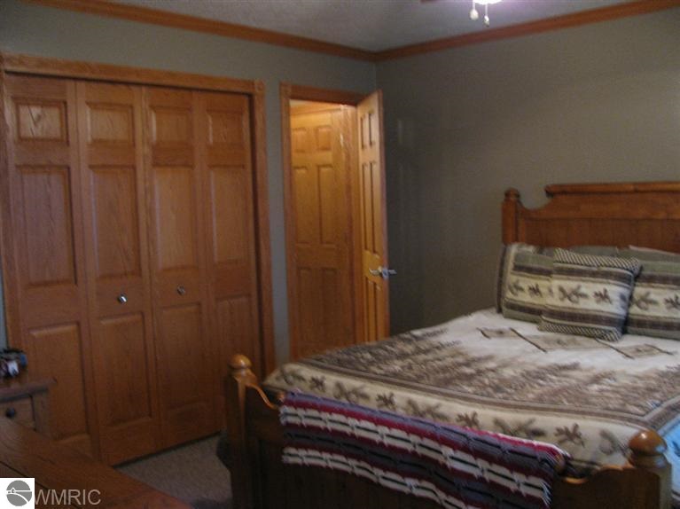 2986 County Line Road Sumner, MI 48889 - Photo 12 of 12 1784970-11.JPG